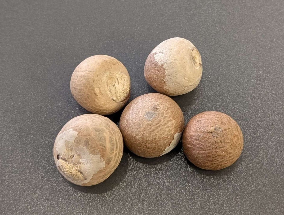Nepali Supari - 5 pieces