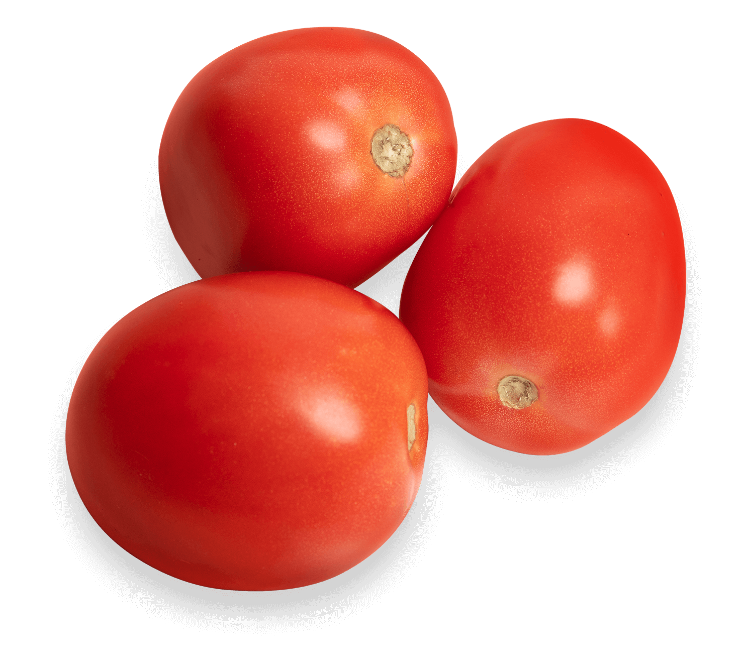 Roma Tomatoes – 2lbs