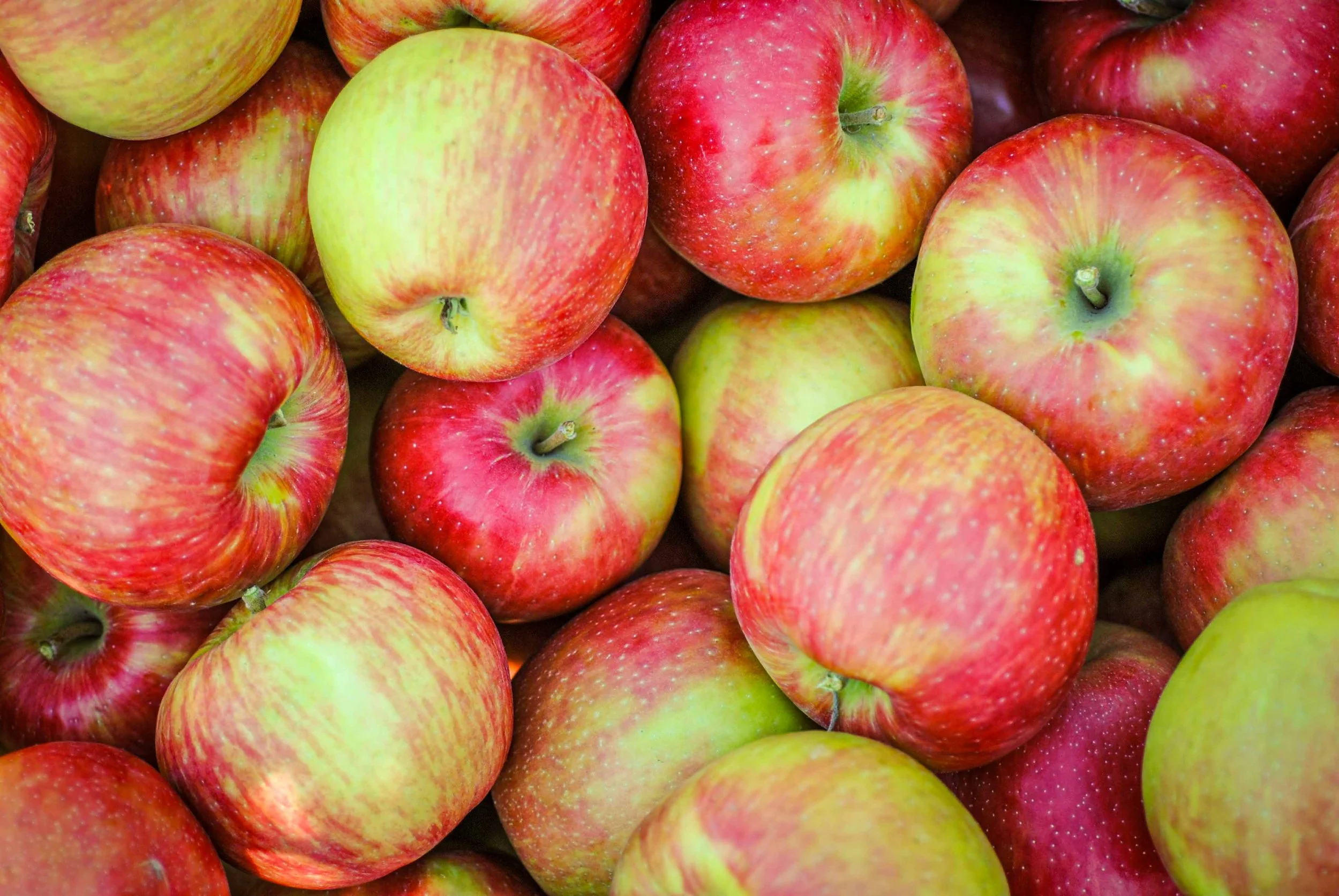 Apples Honeycrisp – 2lbs