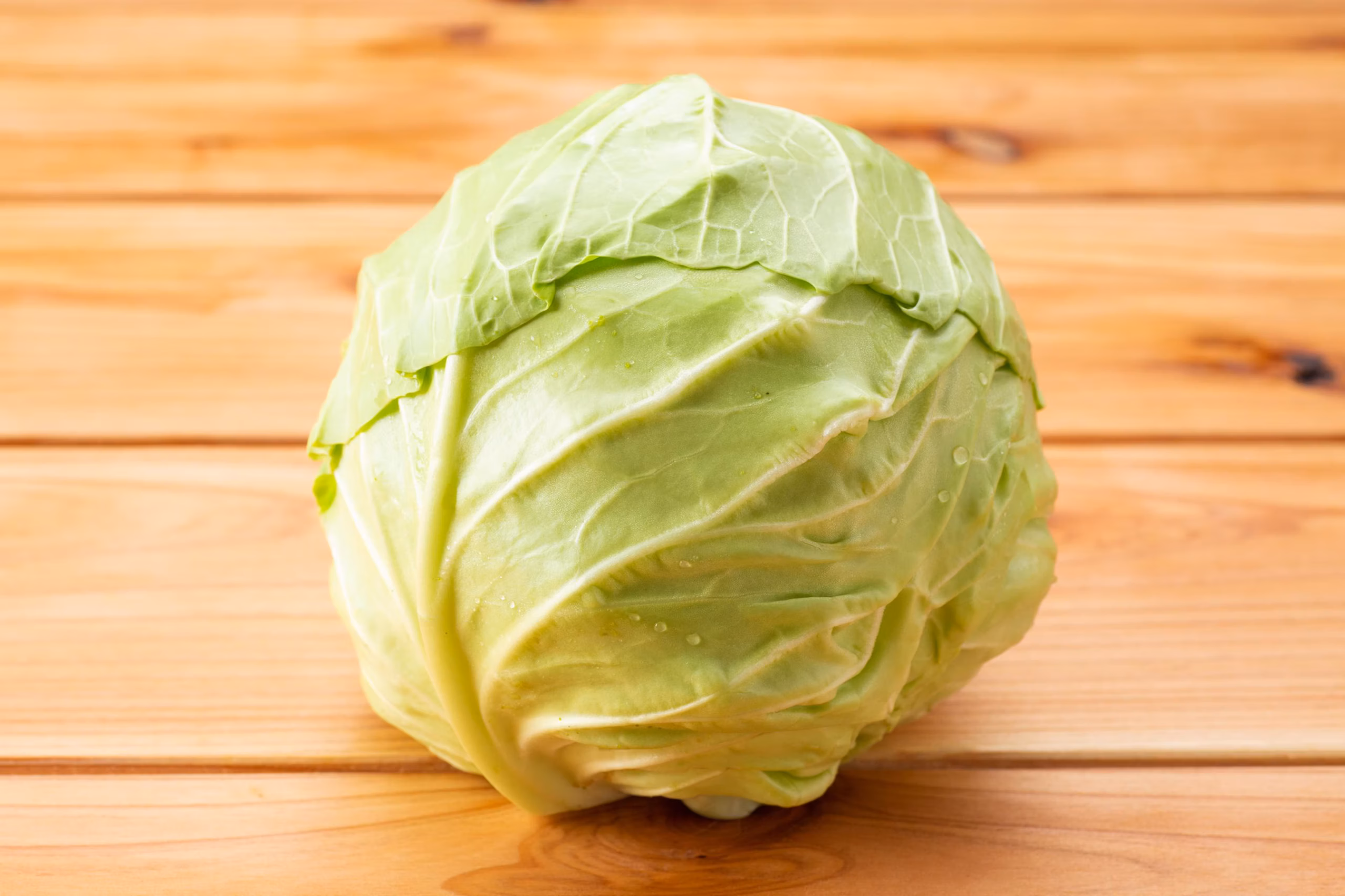 Cabbage Whole