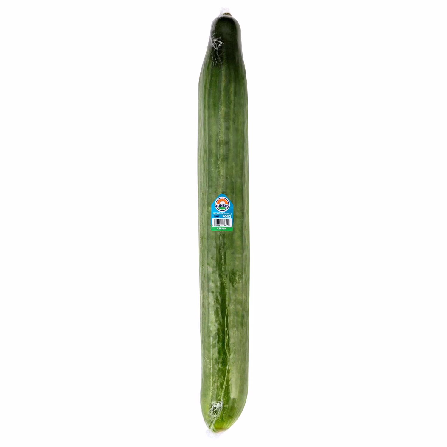 Cucumber Large